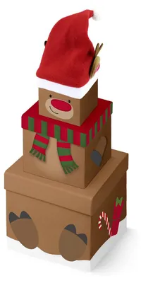 Produktbild von Clairefontaine Geschenkboxen-Set "Rentier" 3-teilig