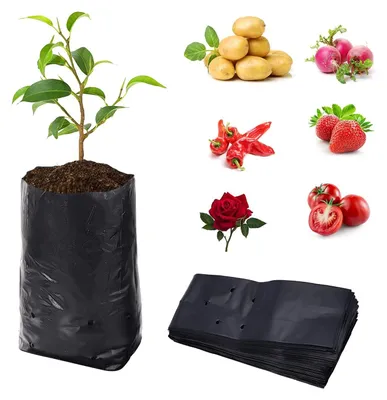 Image de Omgoods - Sacs de plantation biodégradables, lot de 100
