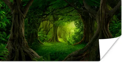 Produktbild von MuchoWow® Poster Bäume - Wald - Grün - Landschaft - Natur 120x60 cm - Bild