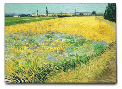 Produktbild von Giallobus - Weizenfeld - Vincent Van Gogh - 70L x 50B cm - Bild - Leinwand mit Standardrahmen
