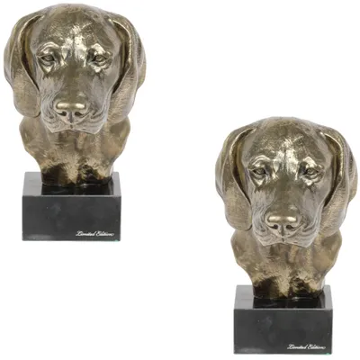 Imagen del producto de Art-Dog Busto – Sabueso de montaña de Baviera – moldeado en polvo de bronce y resina