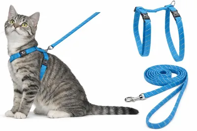 Productafbeelding van Flamingo kattenvoerbak met halsband, Elza, blauw