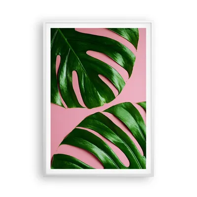 Produktbild von Gerahmtes Poster - Weißer Rahmen - Monstera Blatt Rosa - 70x100 cm - Wand Bild - Wanddeko - Wandbilder - Kunstposter - Wandposter - Bilderrahmen - Bilder - Kunstdruck - P2WPA70x100-4407