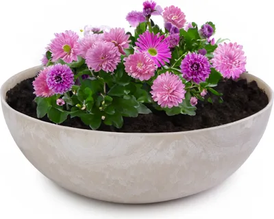 Image de Jardinière ronde ventrue 37 cm pour l'extérieur, marbrée sable