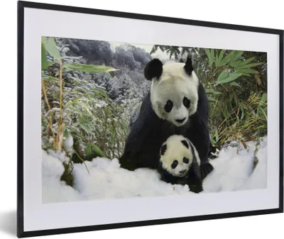 Produktbild von MuchoWow® Gerahmtes Poster Panda - Jungtier - Schnee 60x40 cm - Poster mit Schwarzem Bilderrahmen Wandposter Rahmen Foto Bilder - Schlafzimmer - Plakat in Rahmen - Drucken