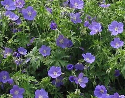 Produktbild von Warentuin Producten