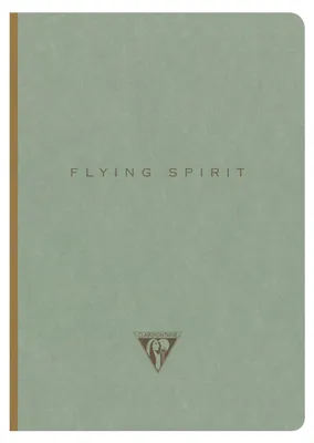 Produktbild von Clairefontaine 5x Notizbuch A5 14,8x21cm, 96 Bl liniert, 90g, Graugrün 107546C