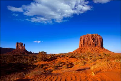 Produktbild von Wallario Poster - Monument Valley am Abend I, Kunstdruck Größe: 61 x 91,50 cm
