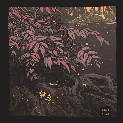 Image de Silva [Vinyle LP]