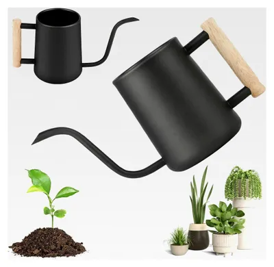 Produktbild von 1L Gießkanne für Zimmerpflanzen: Kleine Edelstahlkanne mit Holzgriff und langem Auslauf, ideal für Sukkulenten und Bonsai