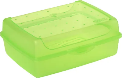 Produktbild von keeeper Brotdose "luca" Click Box Midi grün transparent