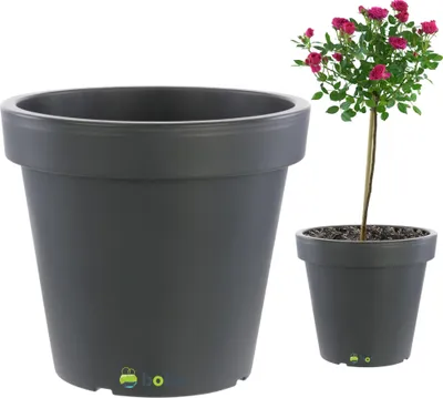 A large dark gray planter is shown on the left, and a smaller planter with a pink rose tree is shown on the right.