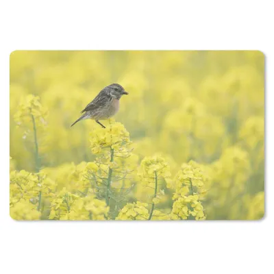 Produktbild von MuchoWow® Schreibtischunterlage Vogel - Pflanzen - Gelb 60x40 cm - XXL Mauspad - Großes Mauspad