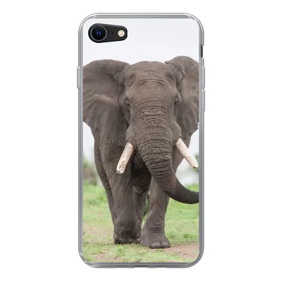 Produktbild von MuchoWow® Handyhülle Schutzhülle Hülle für iPhone SE 2020 Elefant - Tiere - Gras - Natur Silikon Softcase Handy Hülle - Kartenbesitzer