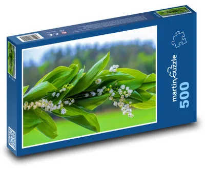 Zdjęcie produktu dla Puzzle 500 Konwalie w naturze - martinpuzzle