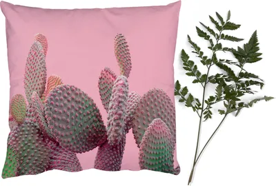 Produktbild von MuchoWow® Zierkissen Sofakissen Wohnzimmer Dekokissen 60x60 cm Kaktus - Pflanzen - Sommer - Sitzfläche - Foto Polster