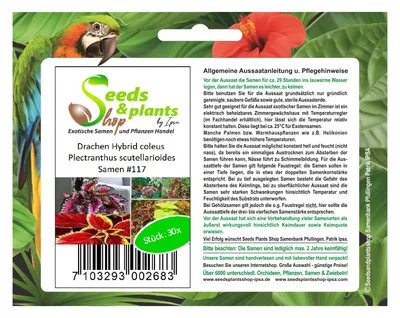 Zdjęcie produktu dla 30x Drachen Hybrid coleus Plectranthus scutellarioides Samen #117