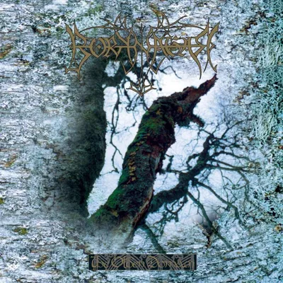 Produktbild von Borknagar - The Olden Domain (Limited Edition) (Reissue) (Red Coloured) (LP)