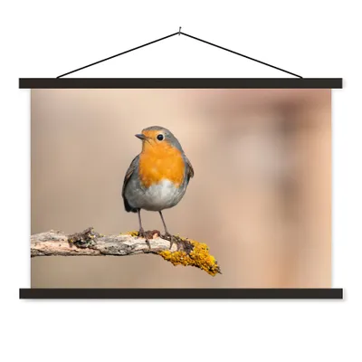 Produktbild von MuchoWow® Textilposter Rotkehlchen - Vogel - Zweig - Tiere 60x40 cm mit schwarzem Rahmen - Hölzernes