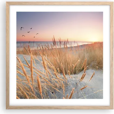 Produktbild von Gerahmtes Poster - Rahmen in heller Eiche - Sonne Vögel Sand - 50x50 cm - Wand Bild - Wanddeko - Wandbilder - Kunstposter - Wandposter - Bilderrahmen - Bilder - Kunstdruck - P2NAC50x50-4810
