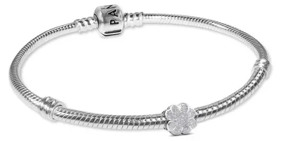 Zdjęcie produktu dla Pandora Zestaw biżuterii Srebro 925 20 cm