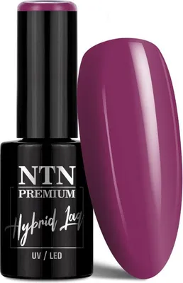Image de NTN Premium Limited Edition Vernis hybride 5 g N° 389