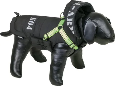 Produktbild von Nobby Hundemantel XO4 2 in 1 schwarz 26 cm