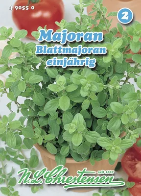 Produktbild von Majoran Blattmajoran | Majoransamen von N.L. Chrestensen