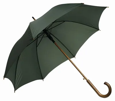 Immagine prodotto di L-Merch - Ombrello "Boogie" con manico in legno LT5442 (89 cm x 103 cm) (verde scuro)