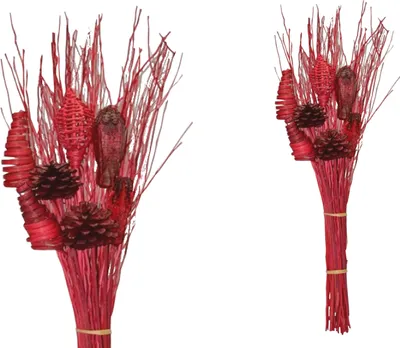 Produktbild von BOHO Trockenblumenstrauß gemischt Brunch Rot 68 cm