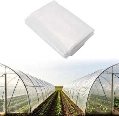 Immagine prodotto di Pellicola trasparente per serre, resistente agli strappi, dimensioni 3 x 4 metri, protezione per le piante da giardino