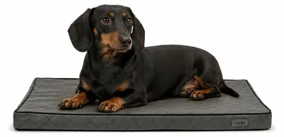 Produktbild von lionto Hundematte orthopädisch, druckentlastende Memory-Foam Liegefläche, rutschfeste Unterseite & abnehmbarer Bezug, 60x40 cm, grau