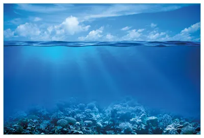 Produktbild von Wallario Küchenrückwand aus Glas, Größe: 90 x 60 cm, Motiv: Unterwasserwelt Meer | Spritzschutz | abwischbar | pflegeleicht | in