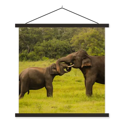 Produktbild von MuchoWow® Textilposter Elefant - Gras - Tiere - Grün 60x60 cm mit schwarzem Rahmen - Posteraufhänger