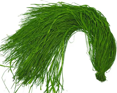 Produktbild von Dekoband Raffia Bast 500g moosgrün Raffiaband Schleifenband
