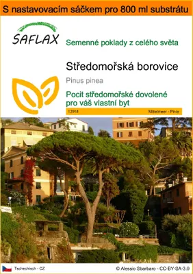 Obrázek produktu pro SAFLAX Garden in the bag - Středomořská borovice - Pinus pinea - 6 Semena - S pěstebním substrátem v praktickém samovztyčovacím sáčku