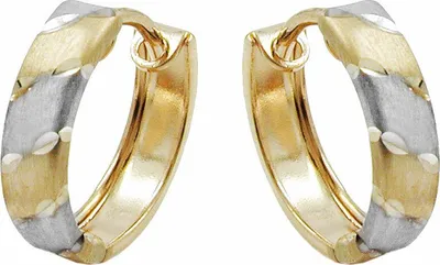 Image de Créole boucles d'oreilles 12x3mm charnière bicolore rhodiée 9Kt GOLD