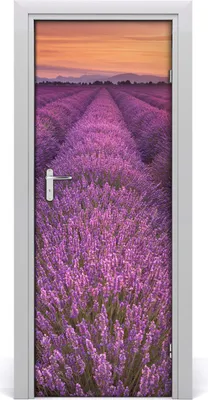 Produktbild von Tulup Türaufkleber 75x205 cm Dekorative Aufkleber Selbstklebend Wasserdichte Tapete Abnehmbar Schlafzimmer Wohnzimmer Wohnkultur - Lavendelfeld