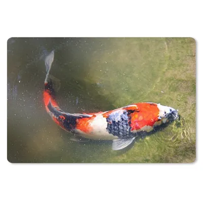 Produktbild von MuchoWow® Mauspad Mousepad Ein Koi-Karpfen auf dem Grund eines Teiches 27x18 cm - Mousepads - Maus Mat - Pad - Mausunterlage - Büroartikel - Desk Matten