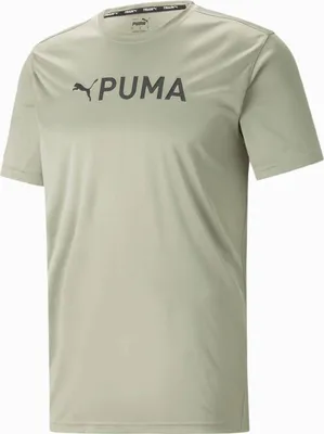 Produktbild von Puma Fit Logo Graphic Shirt Herren