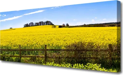 Produktbild von Tulup Leinwand-Bilder 125x50 Wandbild Canvas Kunstdruck Acker Landschaft