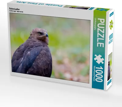 Produktbild von Calvendo Schreiadler 1000 Teile Puzzle quer 640x480mm, Photography CH; 7348761