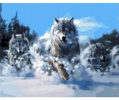 Obrázek produktu pro 40x30 cm DIY Diamond Painting DIY Diamond Painting Smečka vlků