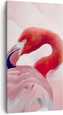 Produktbild von Bild auf Leinwand - Leinwandbild - Einteilig - Flamingo Vogel Porträt - 45x80cm - Wand Bild - Wanddeko - Wandbilder - Leinwanddruck - Bilder - Wanddekoration - Leinwand bilder - PA45x80-4984