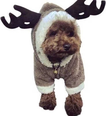 Produktbild von Warme Fleece-Hundejacke für Halloween-Kosplay, Winter, Größe S-M