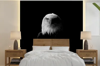Produktbild von MuchoWow® Fototapete für Wohnzimmer oder Schlafzimmer Wandtapete Vinyl Motivtapete Adler - Schwarz - Weiß - 240x240 cm - Schlafzimmer-Tapete
