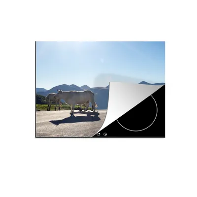 Produktbild von KitchenYeah© Herdabdeckplatte Schottische Highlander - Licht - Berge - Natur , 59x52cm, Küche Deko, Glaskeramikkochfeld Herdabdeckung, Abdeckplatte fùr Kochfeld