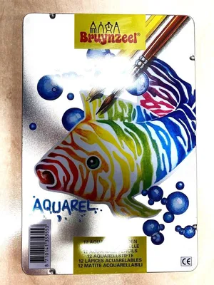 Image de Bruynzeel - 12 crayons aquarelle dans une boîte