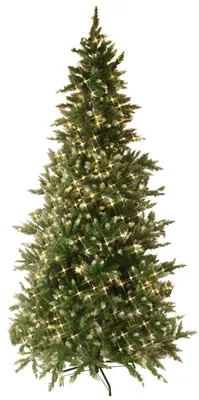 Immagine prodotto di Albero di Natale LED "Vancouver" della marca Best Season, illuminato, altezza circa 225 cm, con 550 luci LED bianche calde, colore verde, completo di trasformatore, codice prodotto 608-60