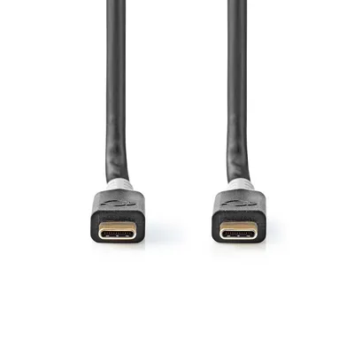 Obrázek produktu pro USB kabel | USB 3.2 Gen 2x2 | USB-C™ samec | USB-C™ samec | 100 W | 4K@60Hz | 20 Gbps | Pozlaceno | 2,00 m | Kulatý | PVC | Stříbro | Box